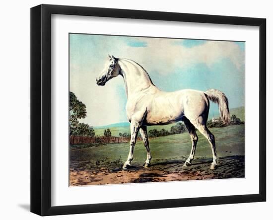 Vintage White Horse Chromolithograph "Mambrino," from the Picture by George Stubbs 1817-Piddix-Framed Art Print