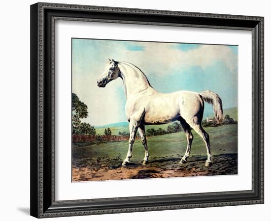 Vintage White Horse Chromolithograph "Mambrino," from the Picture by George Stubbs 1817-Piddix-Framed Art Print