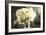 Vintage White Peony-Karyn Millet-Framed Photographic Print