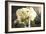 Vintage White Peony-Karyn Millet-Framed Photographic Print