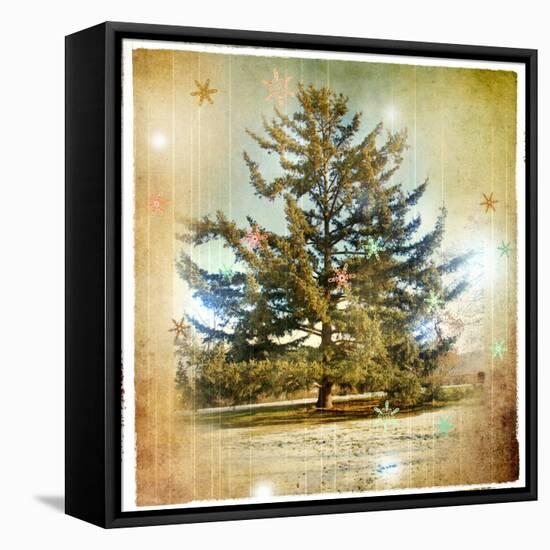 Vintage Winter Background With Pine Tree-Maugli-l-Framed Stretched Canvas