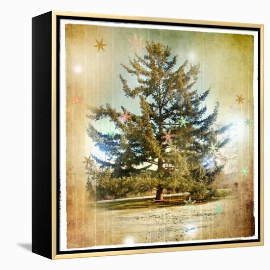 Vintage Winter Background With Pine Tree-Maugli-l-Framed Stretched Canvas