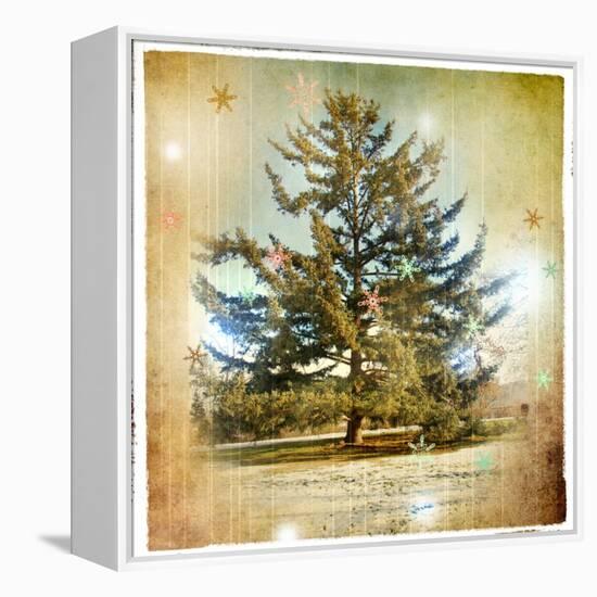 Vintage Winter Background With Pine Tree-Maugli-l-Framed Stretched Canvas