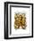 Vintage Yellow Octopus Front-Fab Funky-Framed Art Print