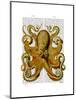 Vintage Yellow Octopus Front-Fab Funky-Mounted Art Print