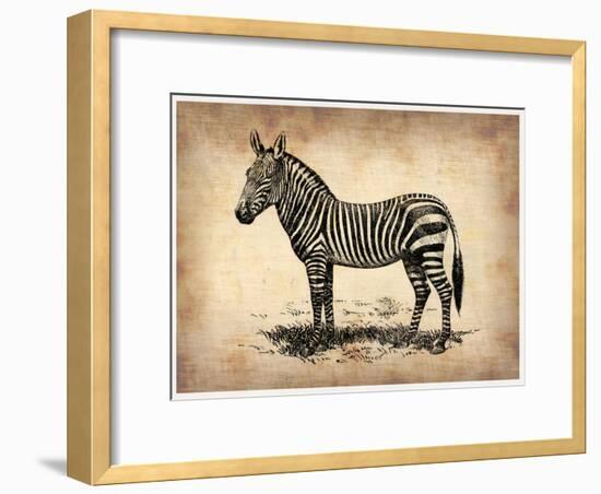 Vintage Zeebra-NaxArt-Framed Art Print