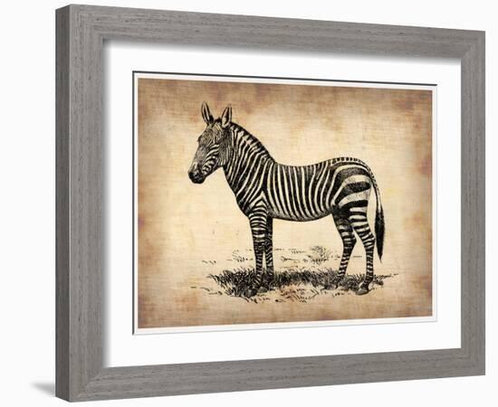 Vintage Zeebra-NaxArt-Framed Art Print