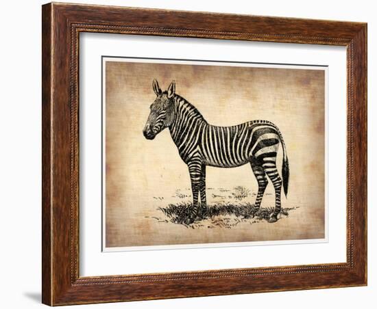 Vintage Zeebra-NaxArt-Framed Art Print