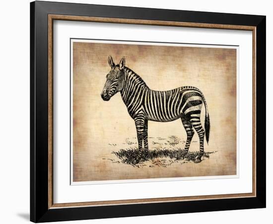 Vintage Zeebra-NaxArt-Framed Art Print