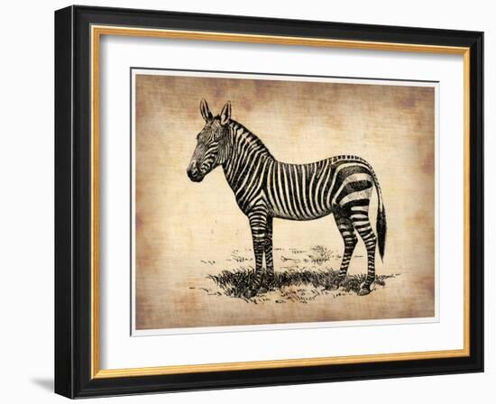 Vintage Zeebra-NaxArt-Framed Art Print