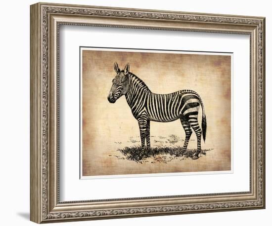 Vintage Zeebra-NaxArt-Framed Premium Giclee Print