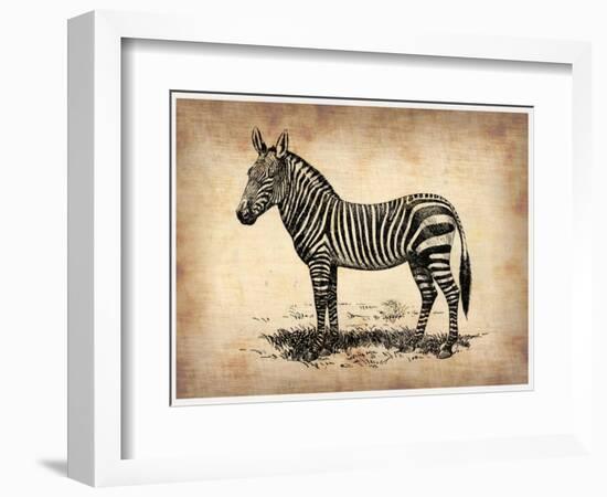 Vintage Zeebra-NaxArt-Framed Premium Giclee Print