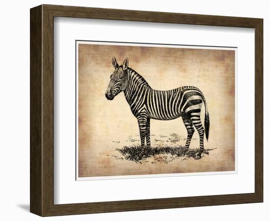 Vintage Zeebra-NaxArt-Framed Art Print