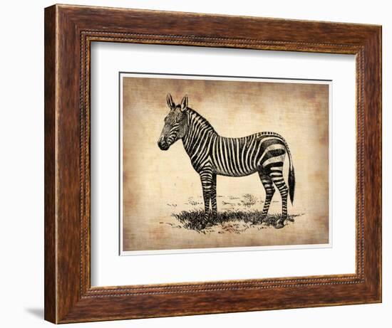 Vintage Zeebra-NaxArt-Framed Art Print