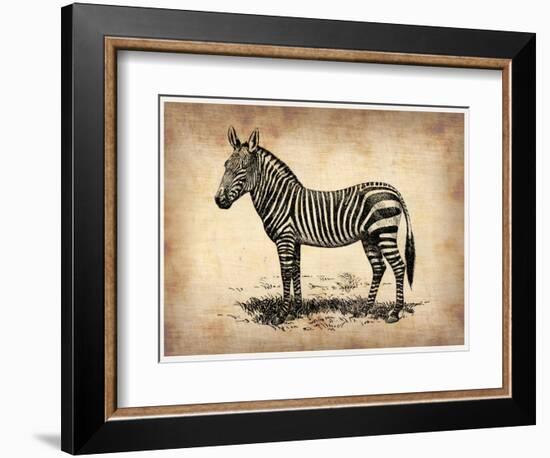 Vintage Zeebra-NaxArt-Framed Art Print