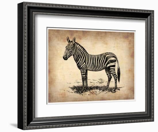 Vintage Zeebra-NaxArt-Framed Art Print