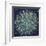 Vintage Zodiac Constellation Of Northern Stars-Alisa Foytik-Framed Premium Giclee Print