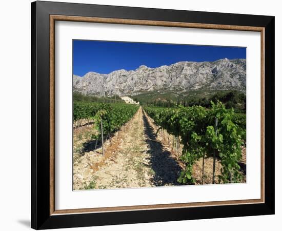 Vinyard at the Foot of Motagne Ste-Victorie Near Aix-En-Provence, Bouches-De-Rhone, France-Ruth Tomlinson-Framed Photographic Print