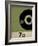 Vinyl 70-Sidney Paul & Co.-Framed Giclee Print