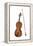 Viola and Bow, Stringed Instrument, Musical Instrument-Encyclopaedia Britannica-Framed Stretched Canvas