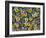 Viola Flowers-Robert Harding-Framed Photographic Print