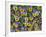 Viola Flowers-Robert Harding-Framed Photographic Print