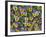 Viola Flowers-Robert Harding-Framed Photographic Print