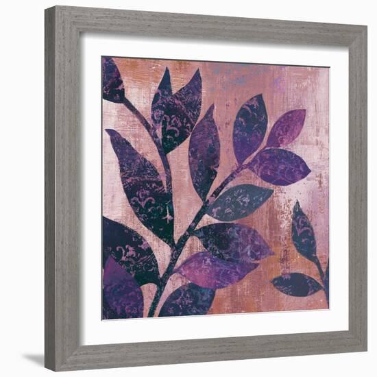 Viola I-Andrew Michaels-Framed Art Print