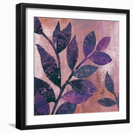 Viola I-Andrew Michaels-Framed Art Print