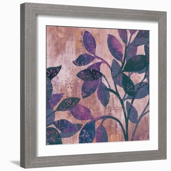 Viola II-Andrew Michaels-Framed Art Print