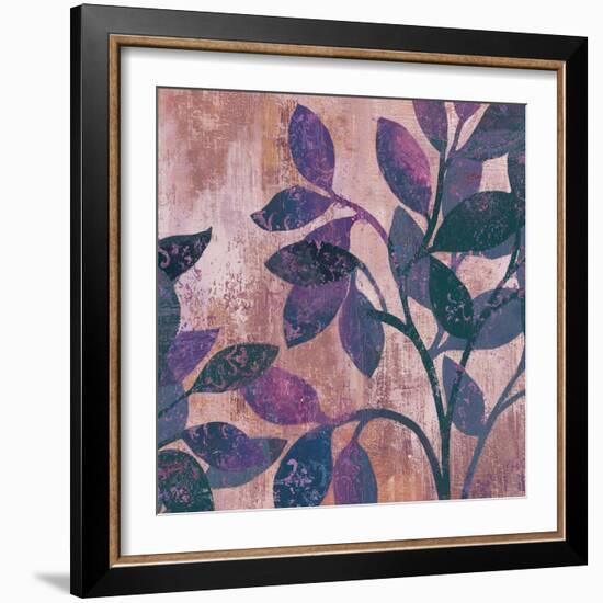 Viola II-Andrew Michaels-Framed Art Print