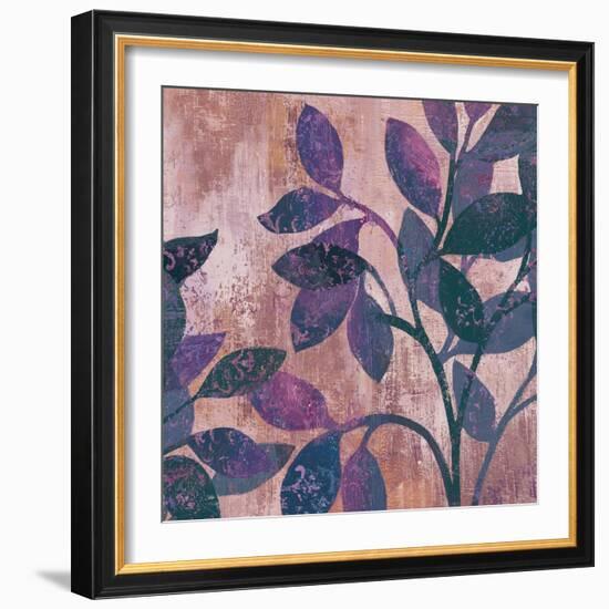 Viola II-Andrew Michaels-Framed Art Print