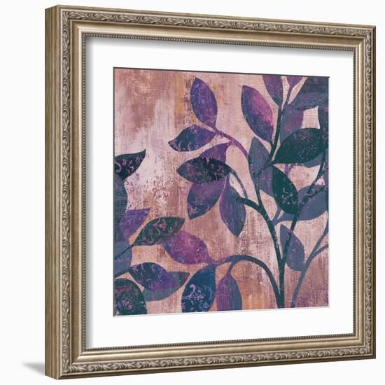 Viola II-Andrew Michaels-Framed Art Print