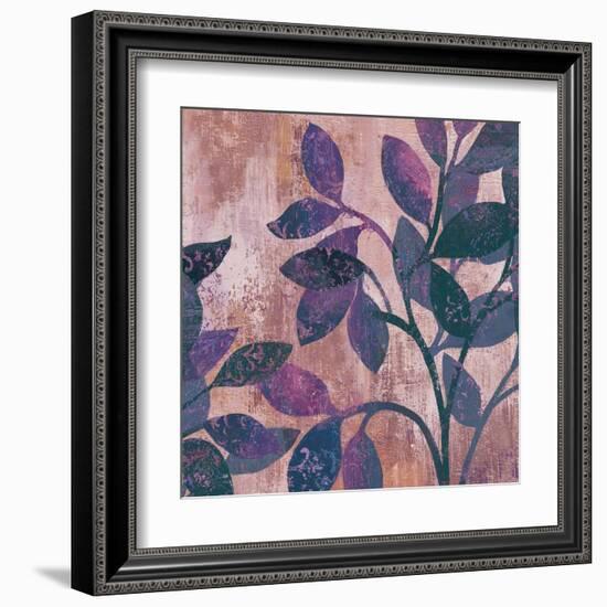 Viola II-Andrew Michaels-Framed Art Print