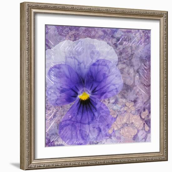 Viola - Secret Love-Cora Niele-Framed Photographic Print