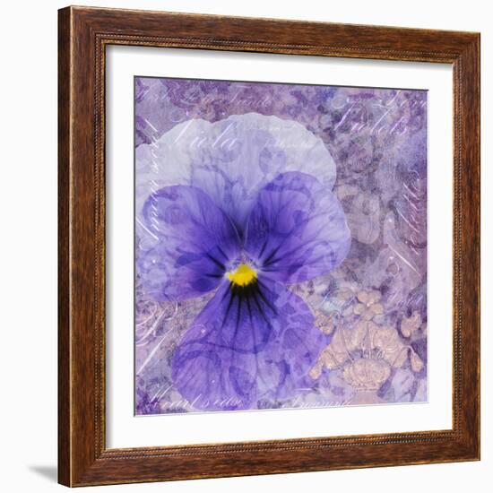 Viola - Secret Love-Cora Niele-Framed Photographic Print