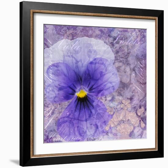 Viola - Secret Love-Cora Niele-Framed Photographic Print