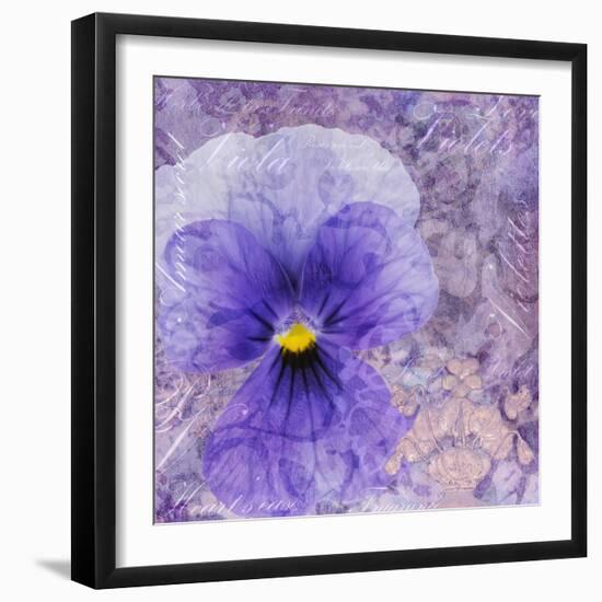 Viola - Secret Love-Cora Niele-Framed Photographic Print