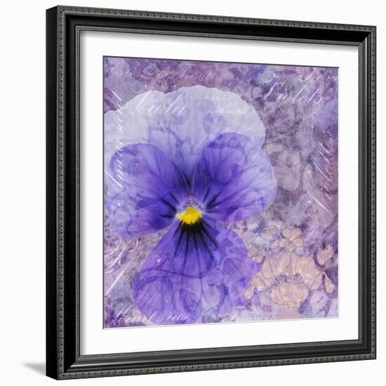 Viola - Secret Love-Cora Niele-Framed Photographic Print