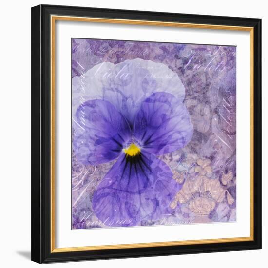 Viola - Secret Love-Cora Niele-Framed Photographic Print