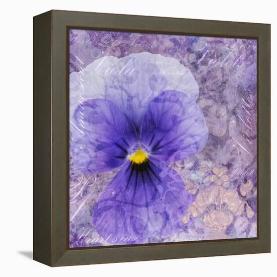 Viola - Secret Love-Cora Niele-Framed Stretched Canvas