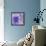 Viola - Secret Love-Cora Niele-Framed Stretched Canvas displayed on a wall