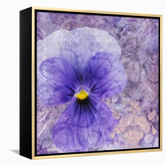 Viola - Secret Love-Cora Niele-Framed Stretched Canvas