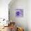 Viola - Secret Love-Cora Niele-Framed Stretched Canvas displayed on a wall