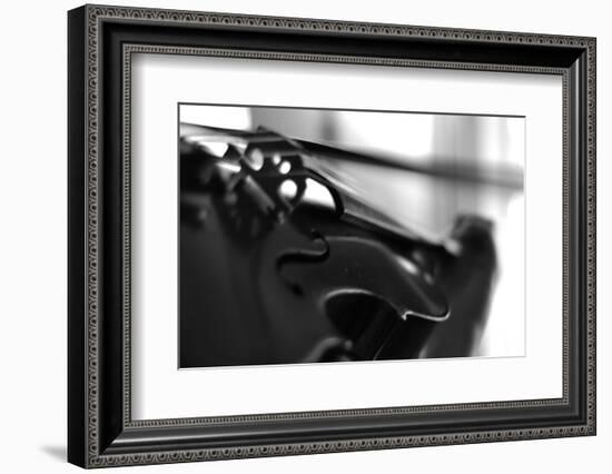 Viola-John Gusky-Framed Photographic Print