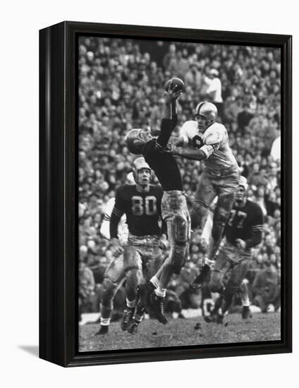 Violent Action: Don Helleder Trying to Retrieve Ball from Navy Defense During Army-Navy Game-John Dominis-Framed Premier Image Canvas