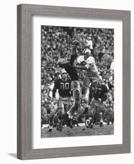 Violent Action: Don Helleder Trying to Retrieve Ball from Navy Defense During Army-Navy Game-John Dominis-Framed Premium Photographic Print