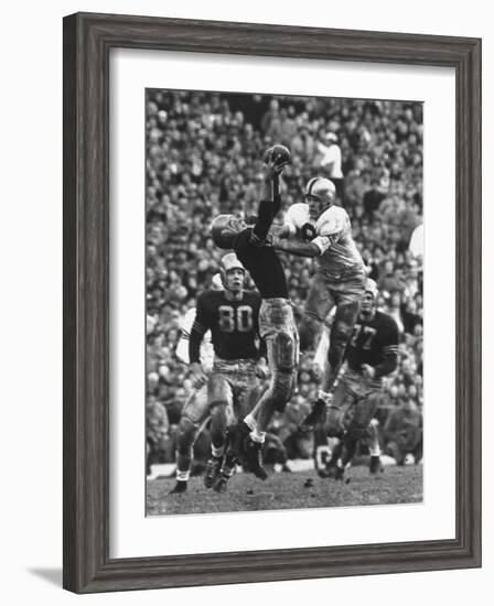 Violent Action: Don Helleder Trying to Retrieve Ball from Navy Defense During Army-Navy Game-John Dominis-Framed Photographic Print