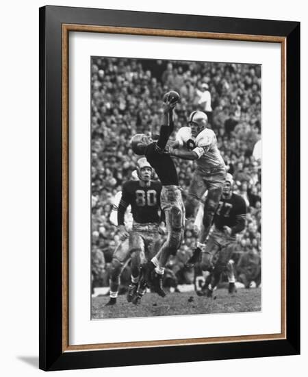 Violent Action: Don Helleder Trying to Retrieve Ball from Navy Defense During Army-Navy Game-John Dominis-Framed Photographic Print