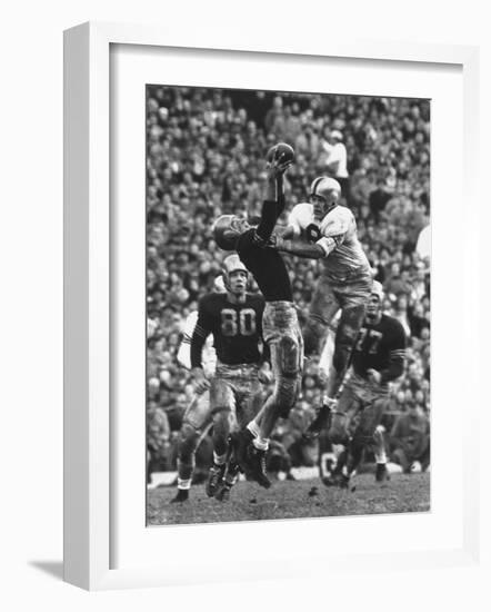 Violent Action: Don Helleder Trying to Retrieve Ball from Navy Defense During Army-Navy Game-John Dominis-Framed Photographic Print